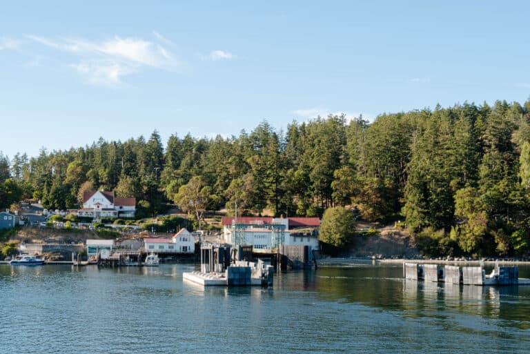 Day Trip From Seattle to Orcas Island - Catherine Vigen