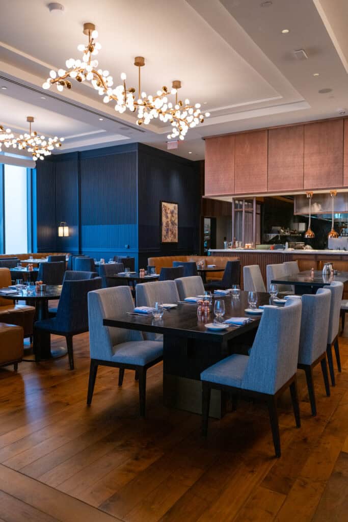 Blue Aster at Conrad Nashville